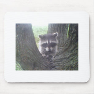 Baumraccoon Mousepad