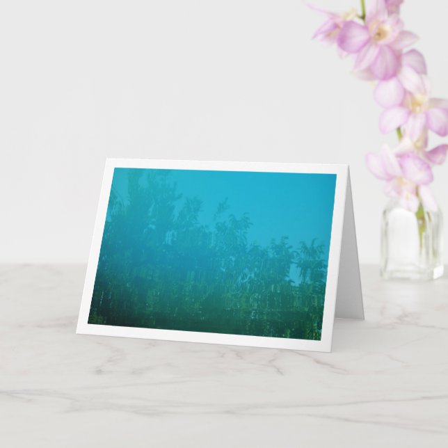 Baumreflektion im Hintergrund des Pools Karte (Orchidee)