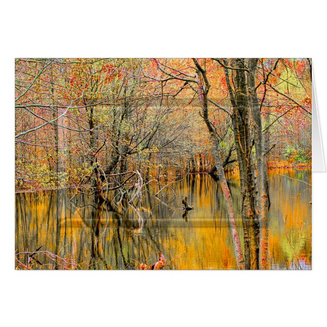 Baumreflektionen/Wasser-WETLANDS-SAMMLUNG - Leere (Vorderseite (Horizontal))