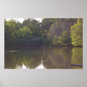 Baumreflektionen Wasserpfeifen Foto Poster