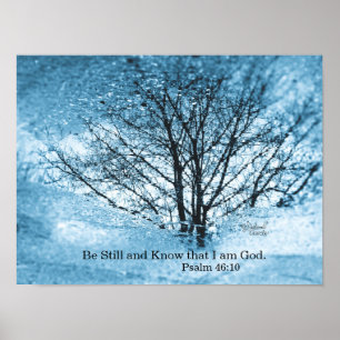 Baumreflexion Poster