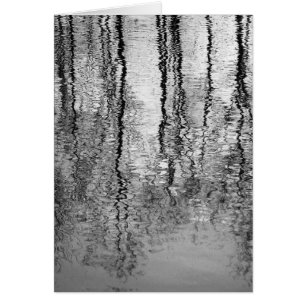 Baumreflexionen