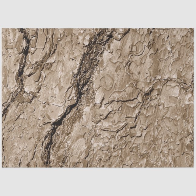 Baumrinde B Seidenpapier (Vorderseite)