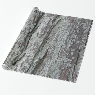 Baumrinde Geschenkpapier