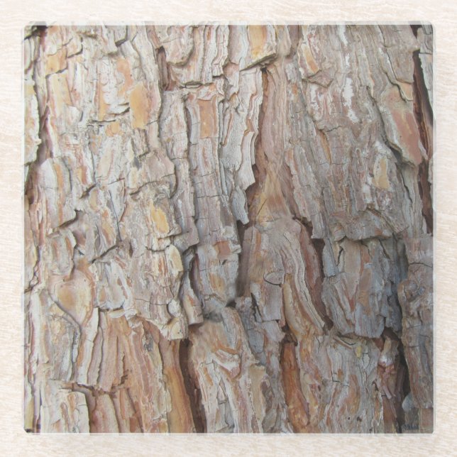 Baumrinde Herbstmuster Glasuntersetzer (Vorderseite)
