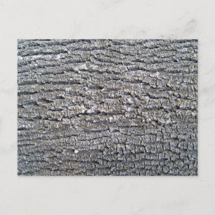 Baumrinde - Horizontal Postkarte