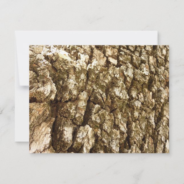 Baumrinde II Naturtexturierte Konstruktion (Vorderseite)