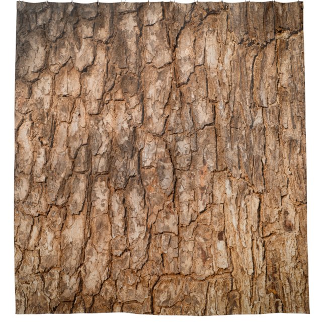 Baumrinde Textur, natürlicher Holzhintergrund. Duschvorhang (Vorderseite)