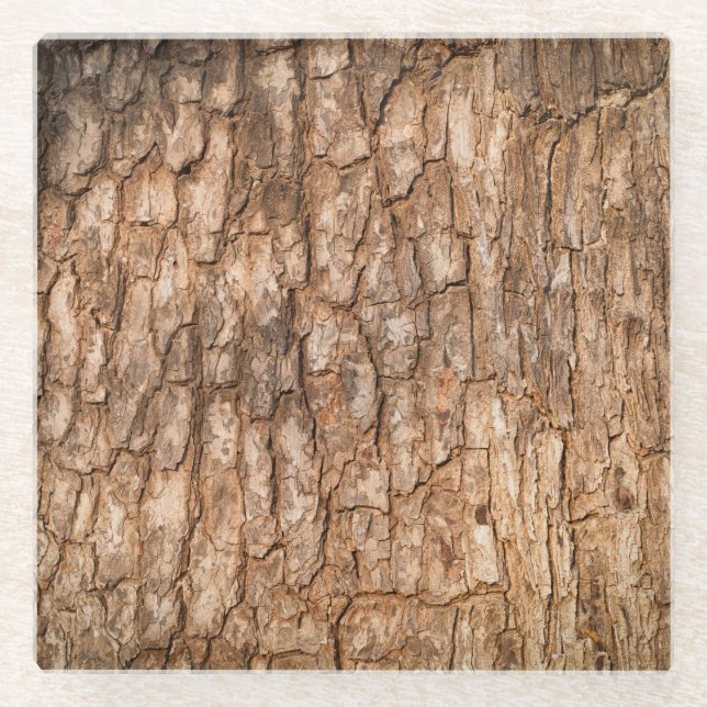 Baumrinde Textur, natürlicher Holzhintergrund. Glasuntersetzer (Vorderseite)