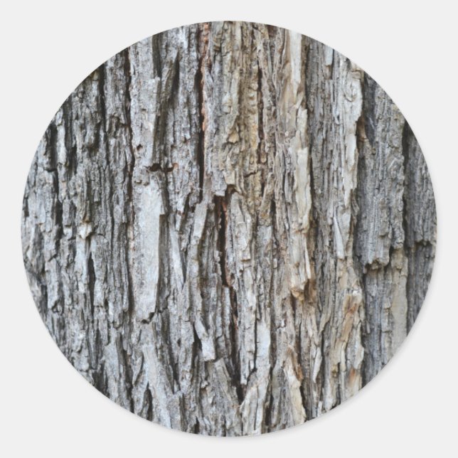 Baumrinde Textur Naturmuster Hintergrund Pflanze Runder Aufkleber (Vorderseite)