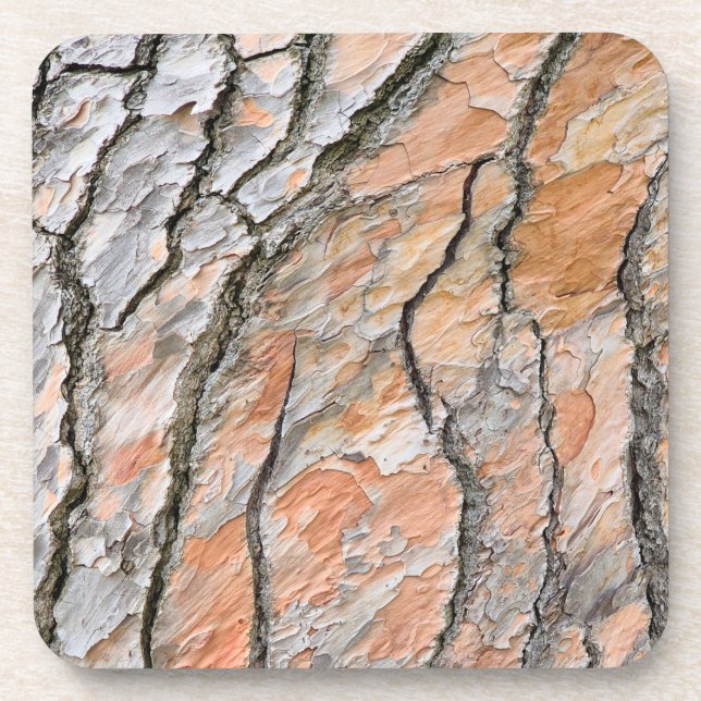 Baumrinden-Naturmuster Getränkeuntersetzer (Vorderseite)