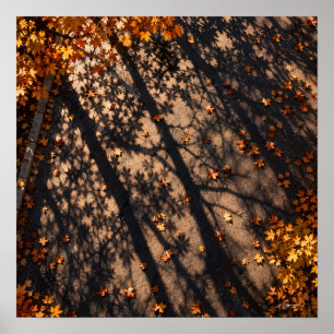 Baumschatten-Gitter-Pflaster-Fotografie Poster