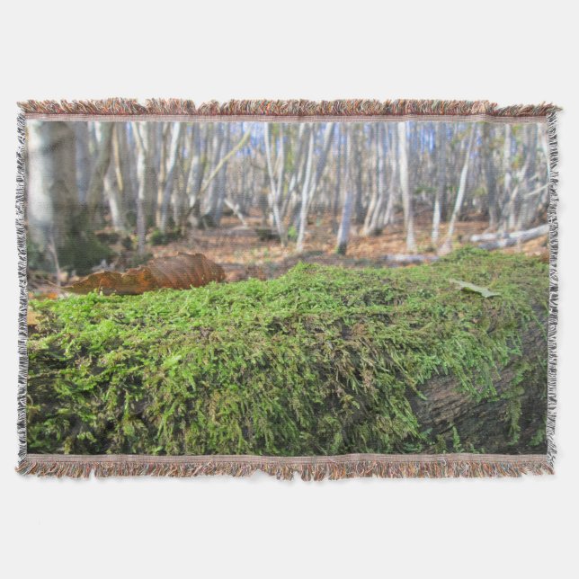 Baumschlummer im Herbstmoos - Personalisiert Decke (Vorderseite)