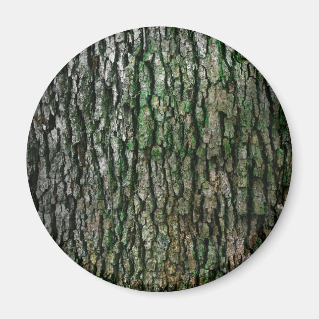 Baumstamm (Holzbrücke) Magnet (Vorne)