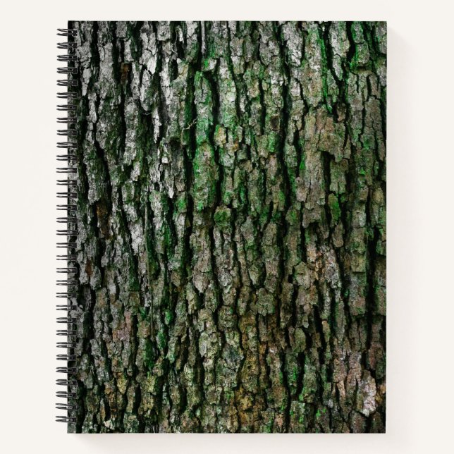 Baumstamm (Holzbrücke) Notizbuch (Vorderseite)