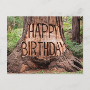 Baumstamm zum Geburtstag geschnitten Postkarte