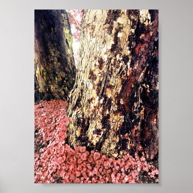 Baumstämme Poster (Vorne)