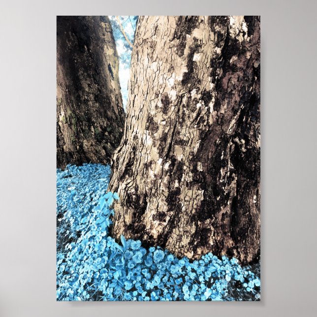 Baumstämme Poster (Vorne)