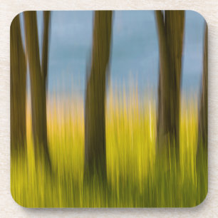 Baumstämme und Gras San Juan Islands, WA Getränkeuntersetzer