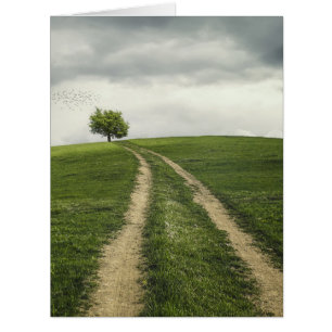 Baumstraße Landschaft
