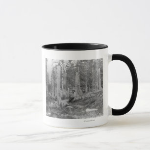 Baumstumpf durch Donner-Party abgeschnitten Tasse