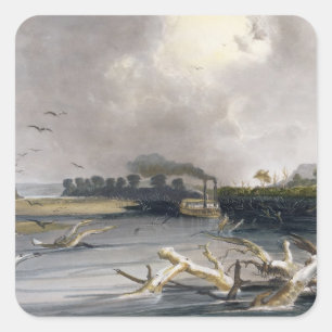 Baumstümpfe (versunkene Bäume) auf dem Missouri, Quadratischer Aufkleber