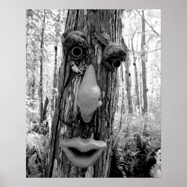 Baumtroll auf einem Big Cypress-Baum. Poster (Vorne)