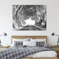 Baumtunnel Kauai Fotografie Schwarz und Weiß