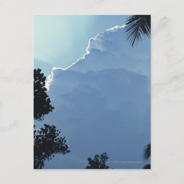 Baumwolken Postkarte (Vorderseite)