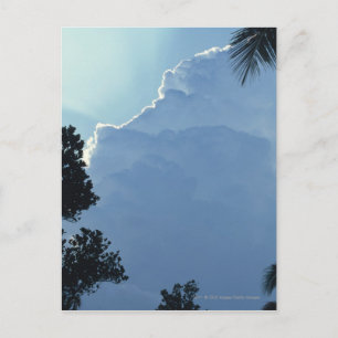 Baumwolken Postkarte