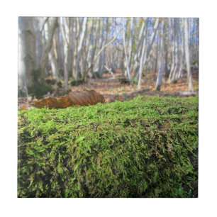 Baumwoll im Herbstmoos - Benutzerdefinierte Kerami Fliese