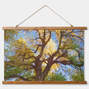 Baumwollbaum   Capitol Reef Nationalpark, Utah Wandteppich Mit Holzrahmen
