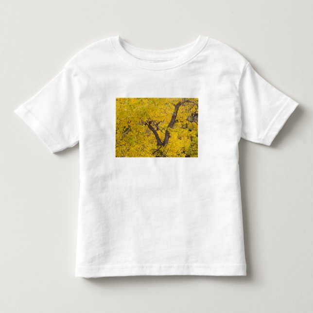 Baumwollbaum in den Herbstfarben des Gletschers Kleinkind T-shirt (Vorderseite)