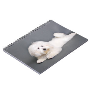 Baumwolle de Tulear - Joci Notizblock