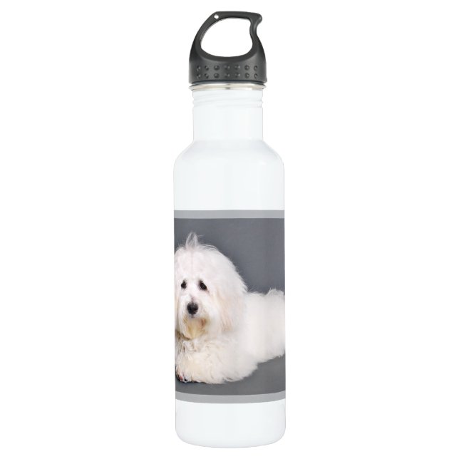 Baumwolle de Tulear - Joci Trinkflasche (Vorderseite)