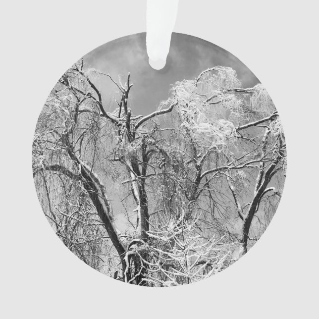 Baumwolle Ornament (Vorderseite)