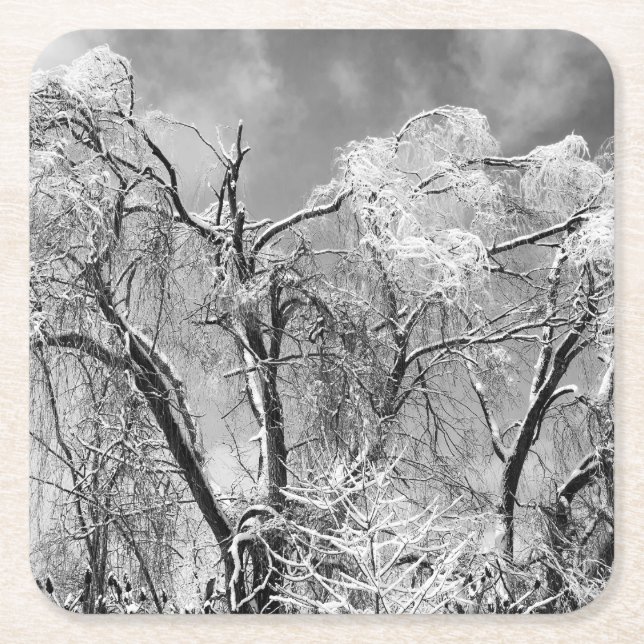 Baumwolle Rechteckiger Pappuntersetzer (Vorderseite)