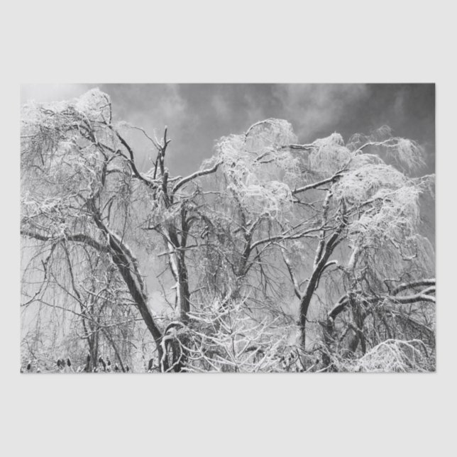 Baumwolle Seidenpapier (Vorderseite)