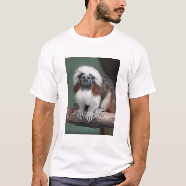 Baumwolle-Spitze Tamarin T-Shirt (Vorderseite)