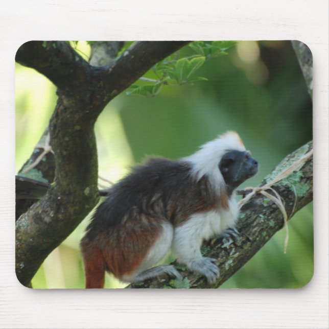 Baumwolle überstieg Tamarin-Mausunterlage Mousepad (Vorne)