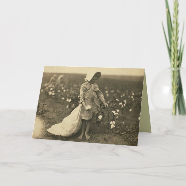 Baumwollfeld Karte (Vorderseite)