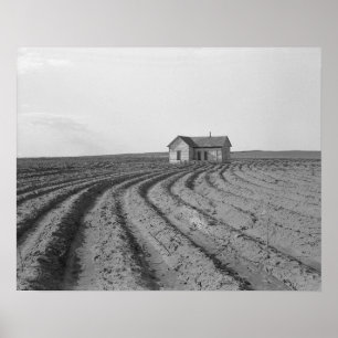 Baumwollfelder, 1938. Vintages Foto Poster