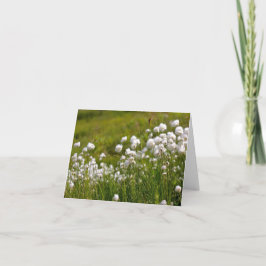 Baumwollgras-Wiese - 4" x 5,6" Notizkarte Feiertagskarte