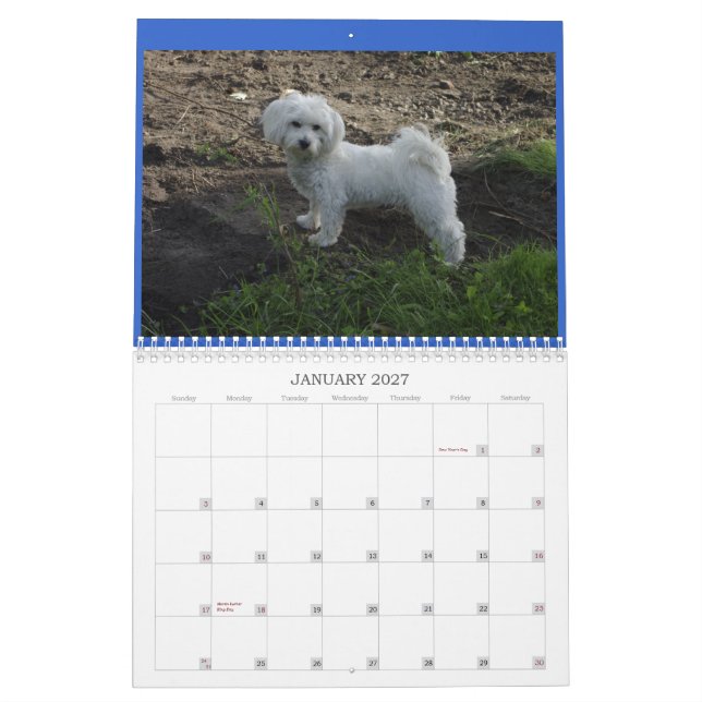Baumwollkalender Kalender (Jan 2027)
