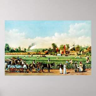 Baumwollpflanzung in Mississippi Poster