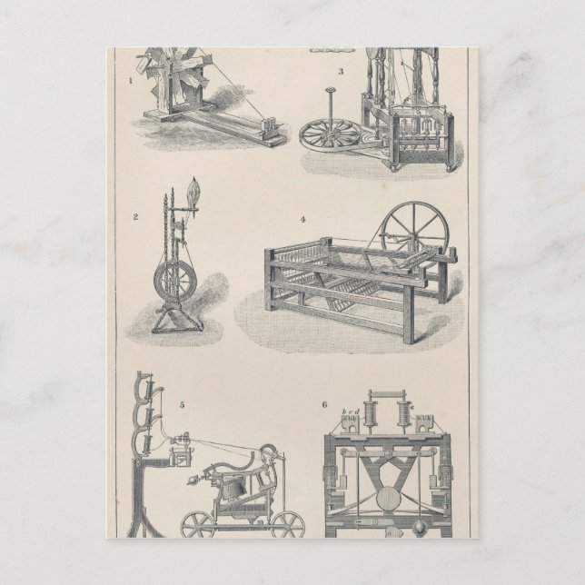 Baumwollspinnen I Postkarte (Vorderseite)