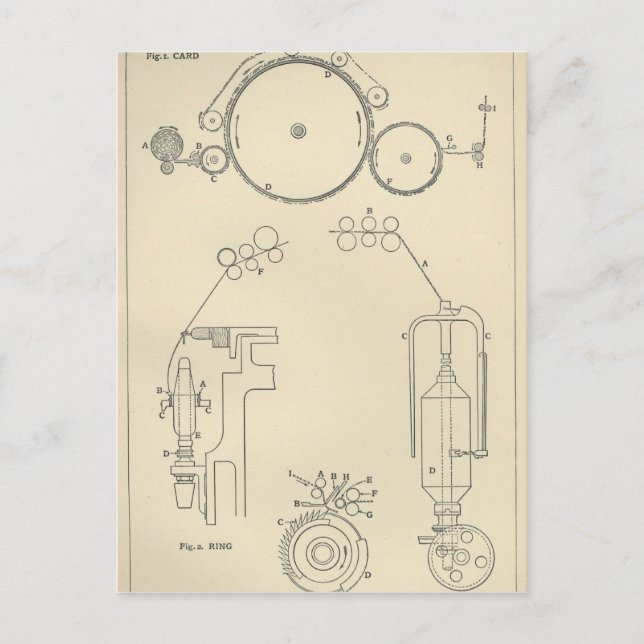 Baumwollspinnen II Postkarte (Vorderseite)