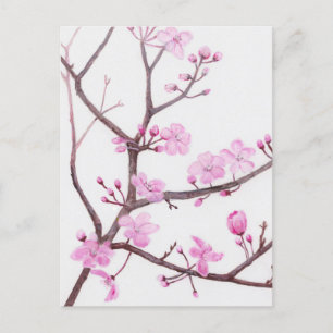 Baumzweig blüht im Frühjahr mit rosa Blume Postkarte