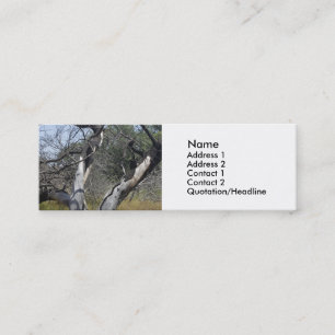 Baumzweige: Engel Live Oak Tree, Südtexas Mini Visitenkarte