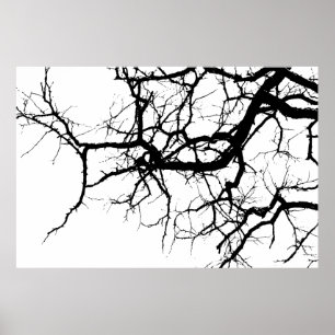 Baumzweige Poster